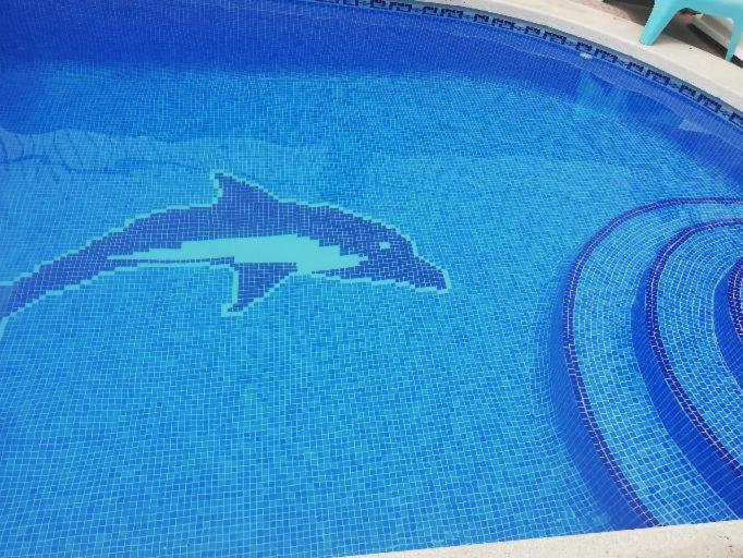 圣佩德罗－德尔皮纳塔尔Piso Entero En Semi Sotano Con Piscina Salina Privada公寓 外观 照片